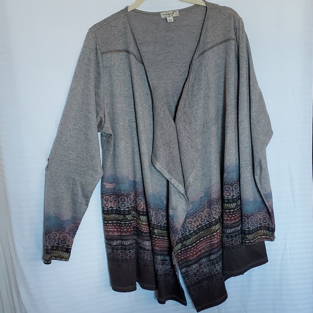 Cardigan sweater 2x